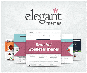 Elegant Themes Best Wordpress Music Musician Themes Wordpress