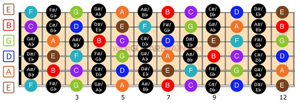 Guitar Fretboard Diagram: (12 24 Fret Charts)
