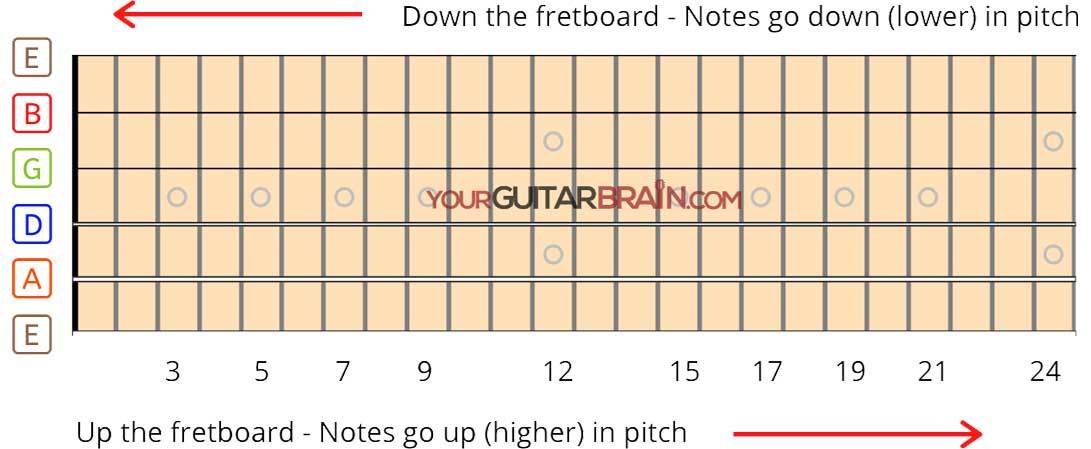 guitar fretboard notes diagram beginners free