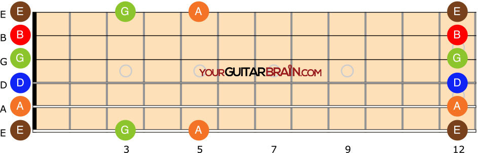 fretboard notes octave beginner fingerboard neck guitar