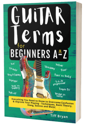 best guitar books guitar terminology terms basics acoustic easy peasy electric beginner intermediate