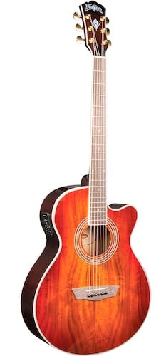 Washburn EA55G-A Festival Acoustic-Electric Guitar, washburn acoustic review, best guitar beginners, kids guitar, small hands guitar, easy to play guitar
